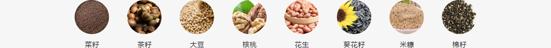 植物油脂設(shè)備廠